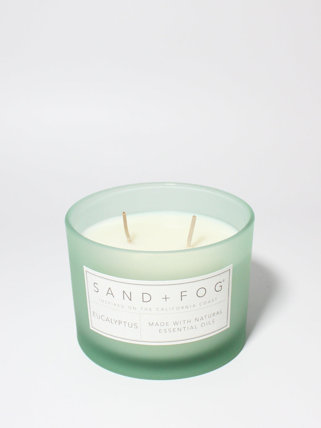 Luxurious Eucalyptus 12 oz scented candle