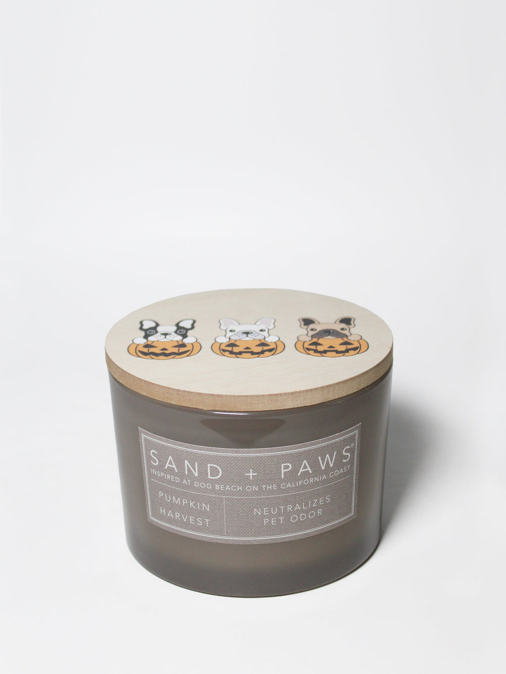 Luxurious Sand + Paws Pumpkin Harvest 12 oz scented candle