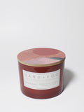 Luxurious Sun-n-Fun 12 oz scented candle