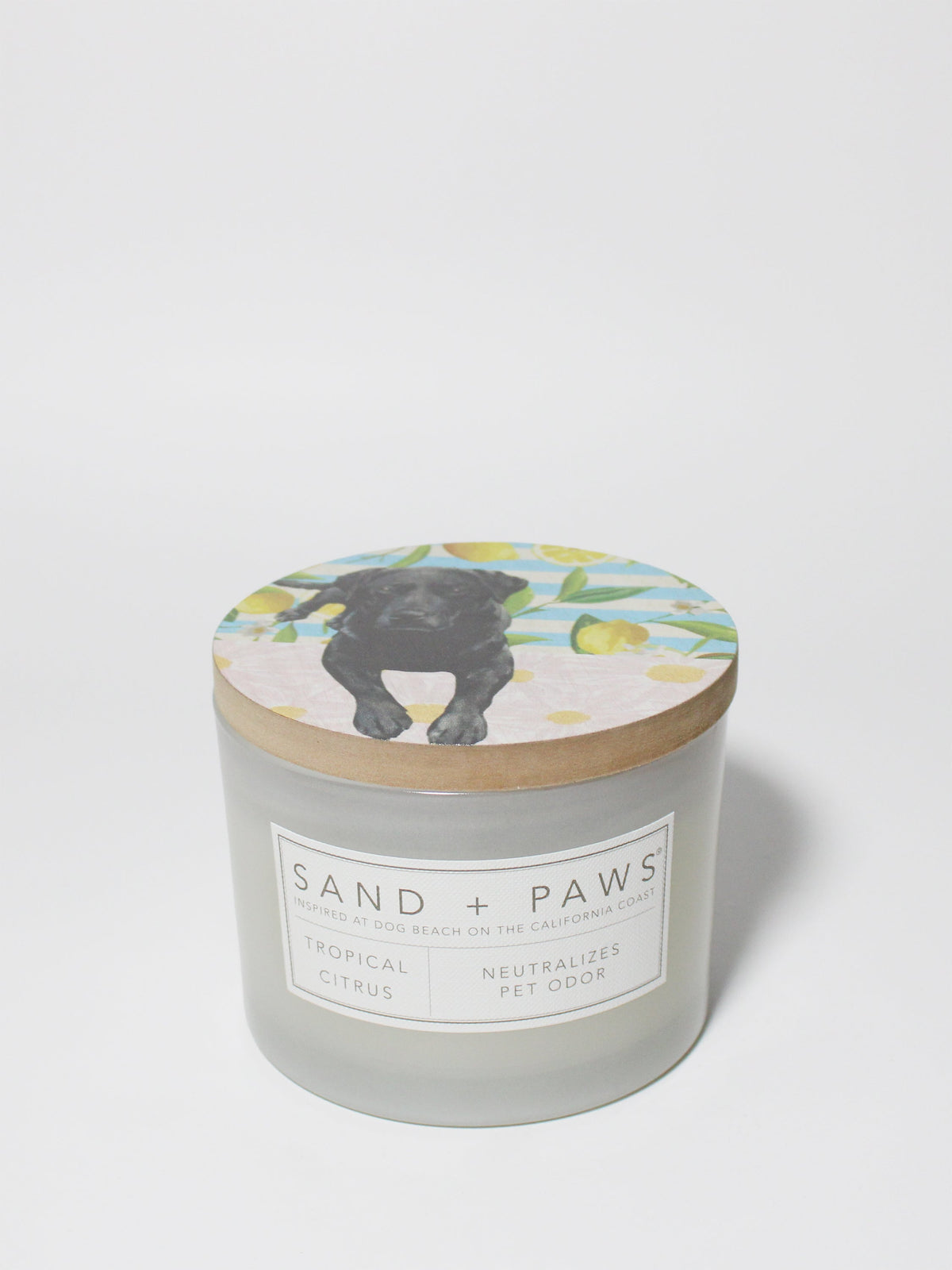 Luxurious Sand + Paws Tropical Citrus 12 oz scented candle