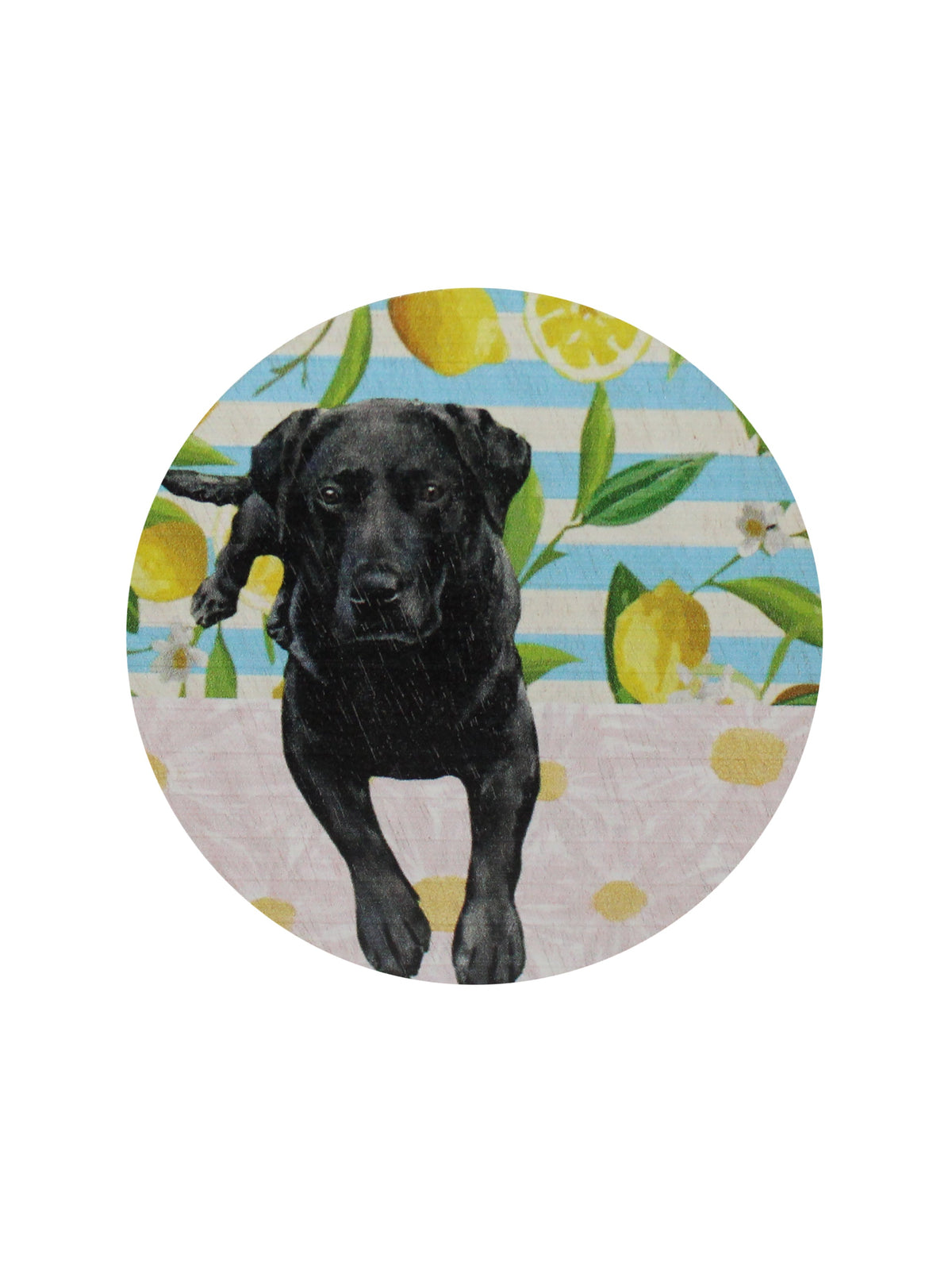 Luxurious Sand + Paws Tropical Citrus 12 oz scented candle