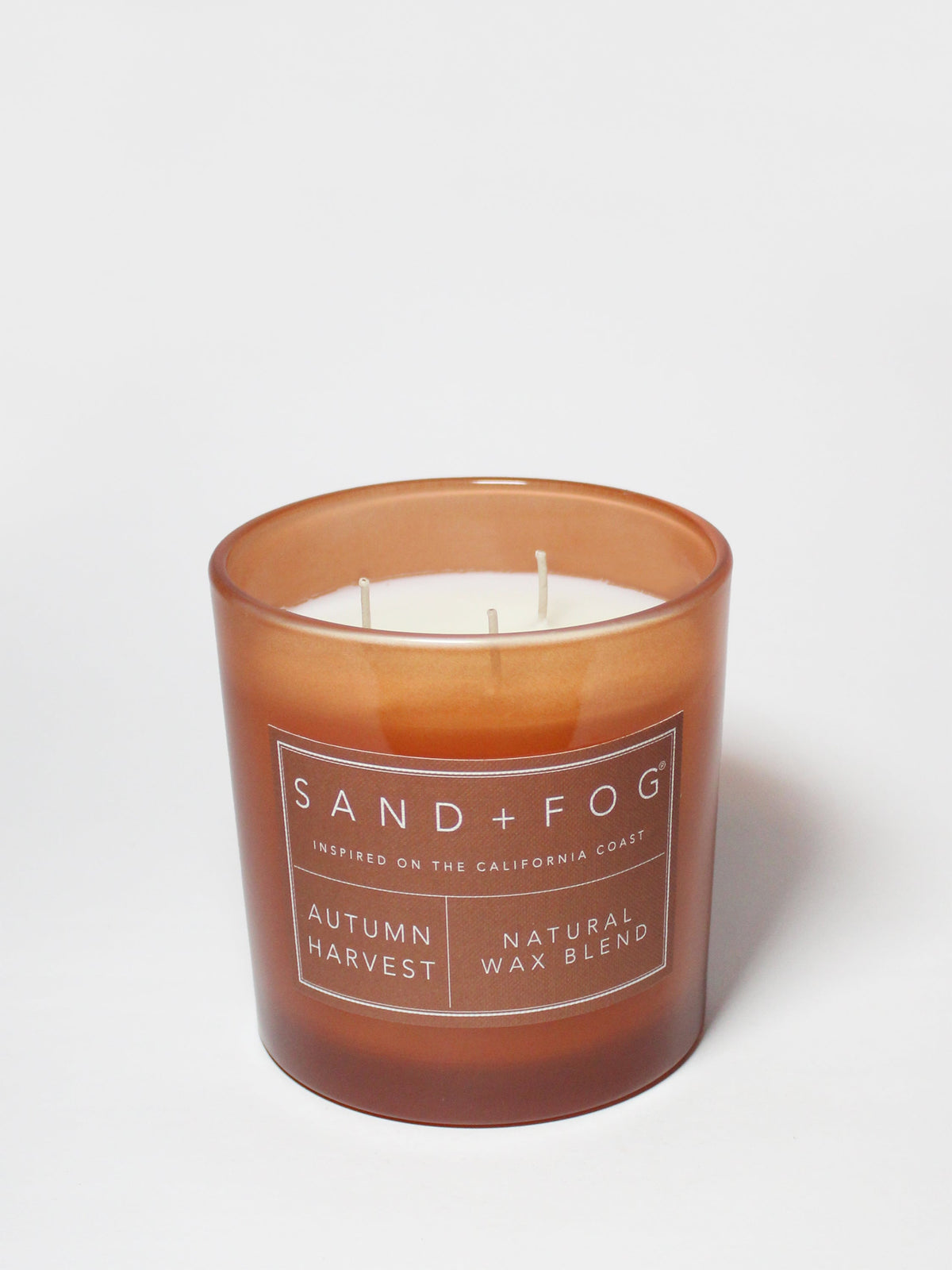 Luxurious Autumn Harvest 21 oz scented candle