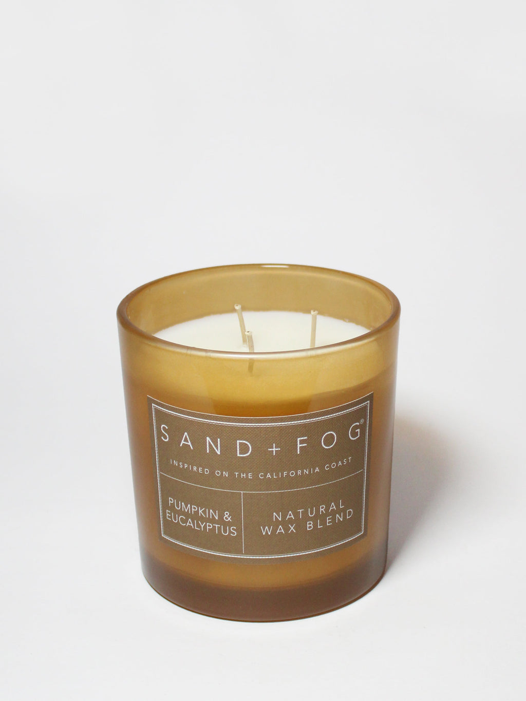 Luxurious Pumpkin & Eucalyptus 21 oz scented candle
