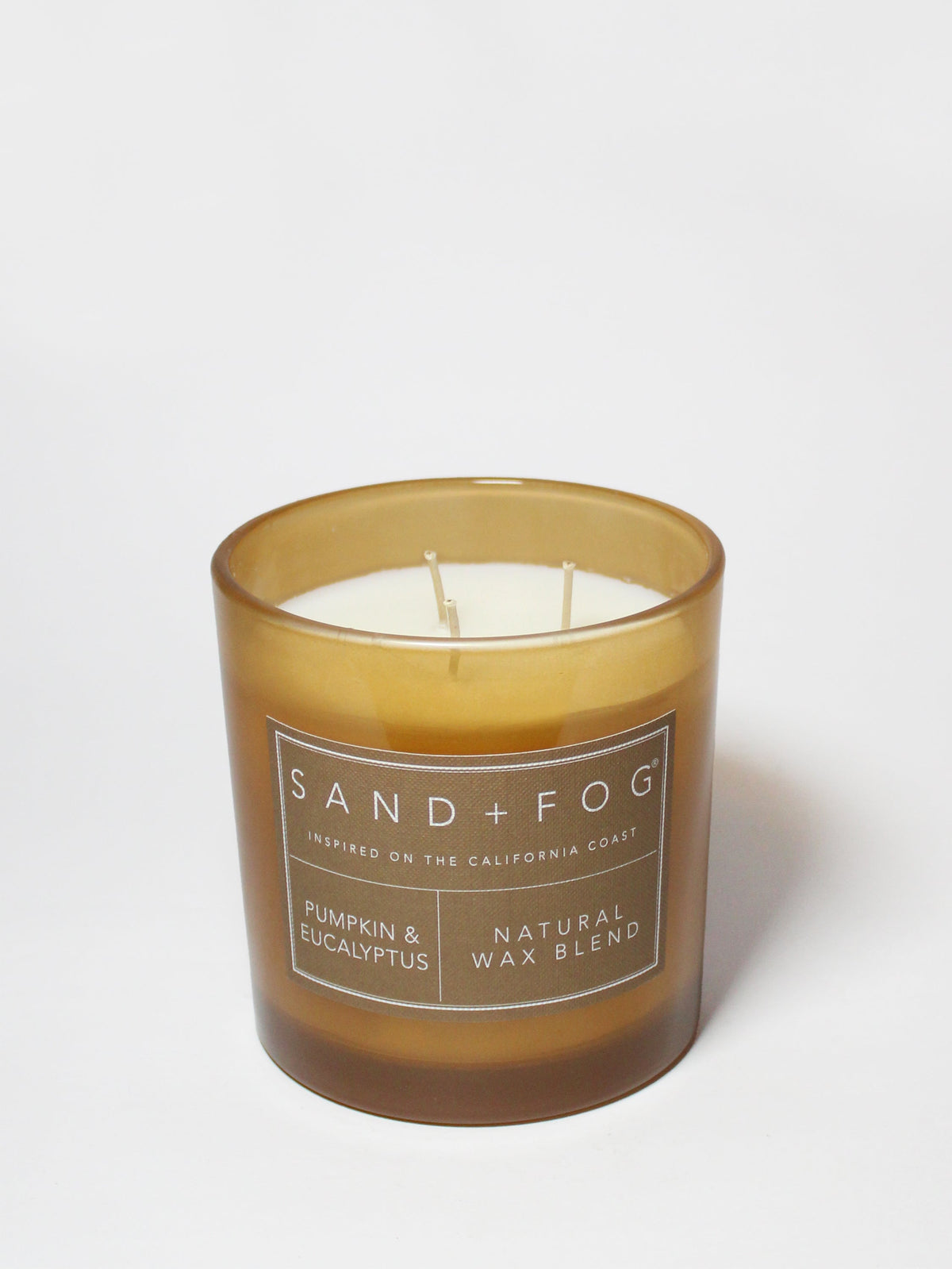 Luxurious Pumpkin & Eucalyptus 21 oz scented candle