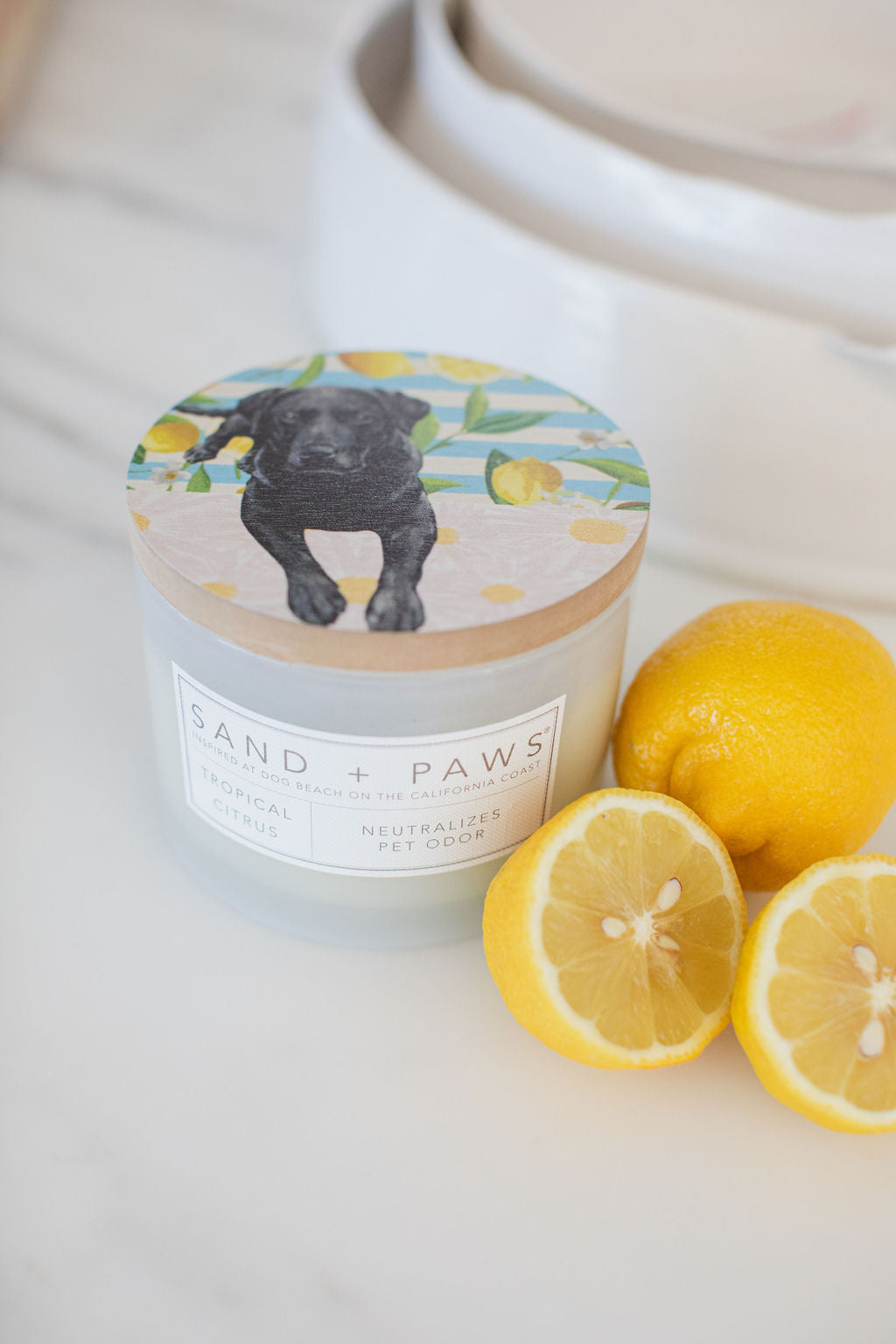 Luxurious Sand + Paws Tropical Citrus 12 oz scented candle