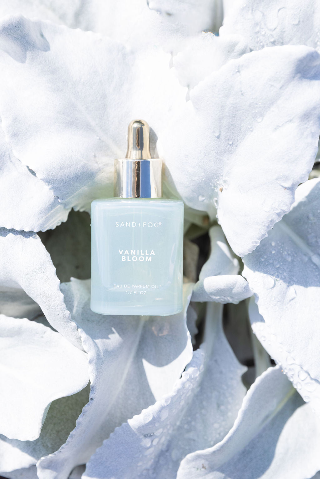Captivating Vanilla Bloom 50 ml Perfume Oil Dropper