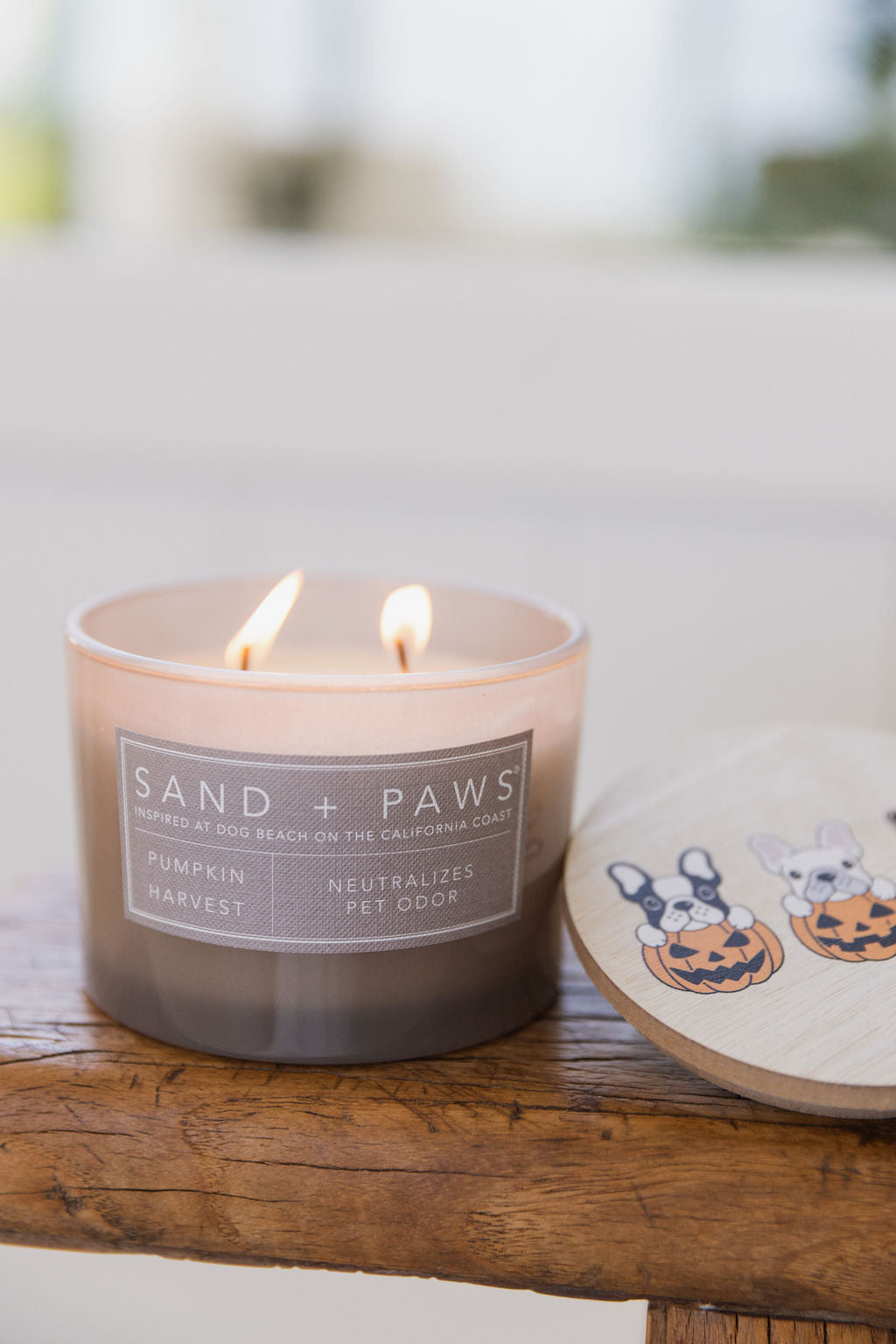 Luxurious Sand + Paws Pumpkin Harvest 12 oz scented candle