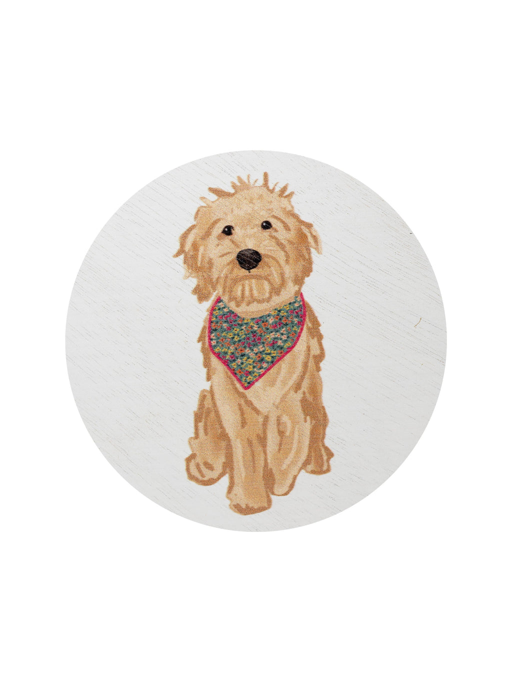 Luxurious Sand + Paws Laundry Day 12 oz scented candle