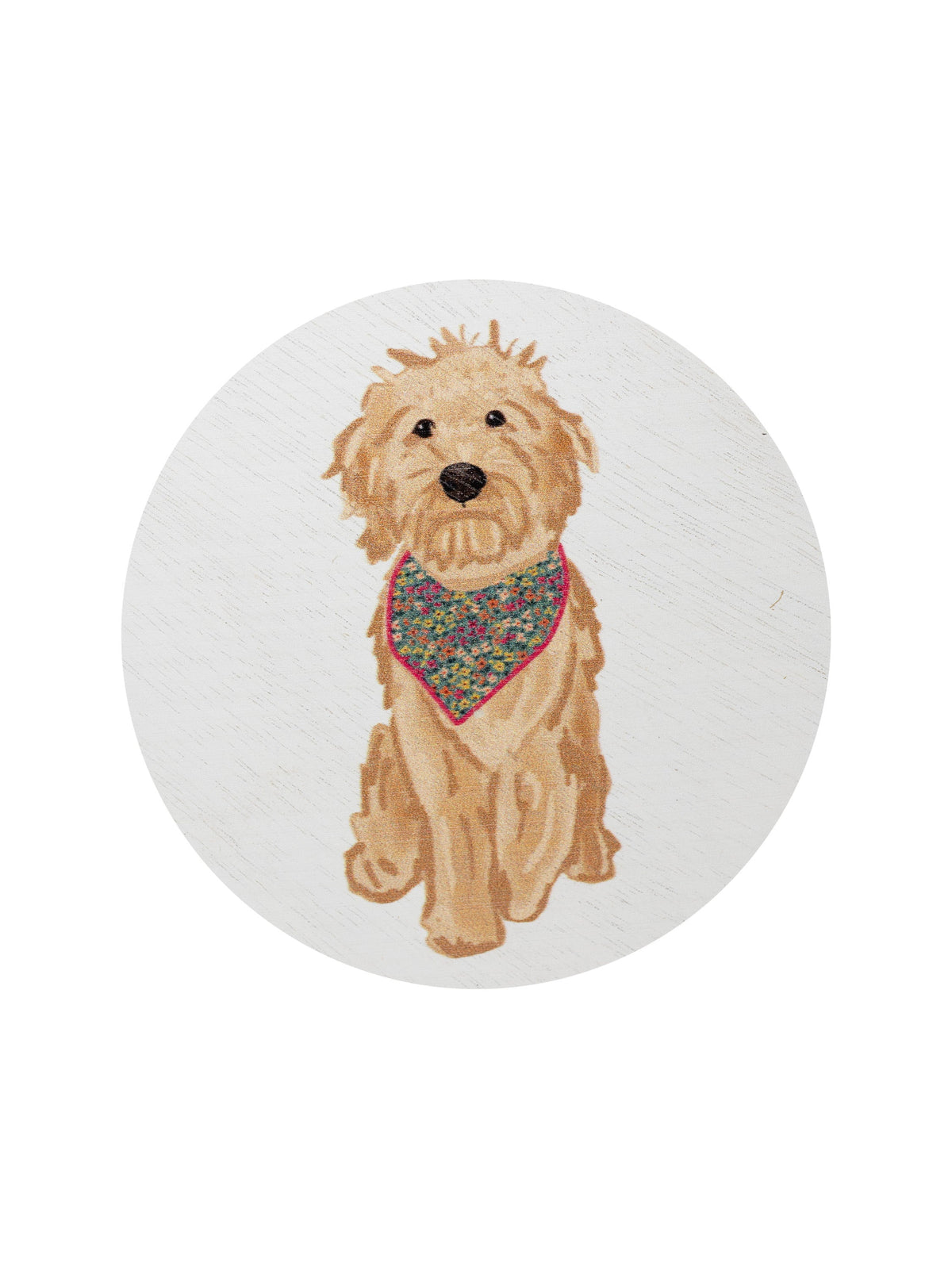Luxurious Sand + Paws Laundry Day 12 oz scented candle