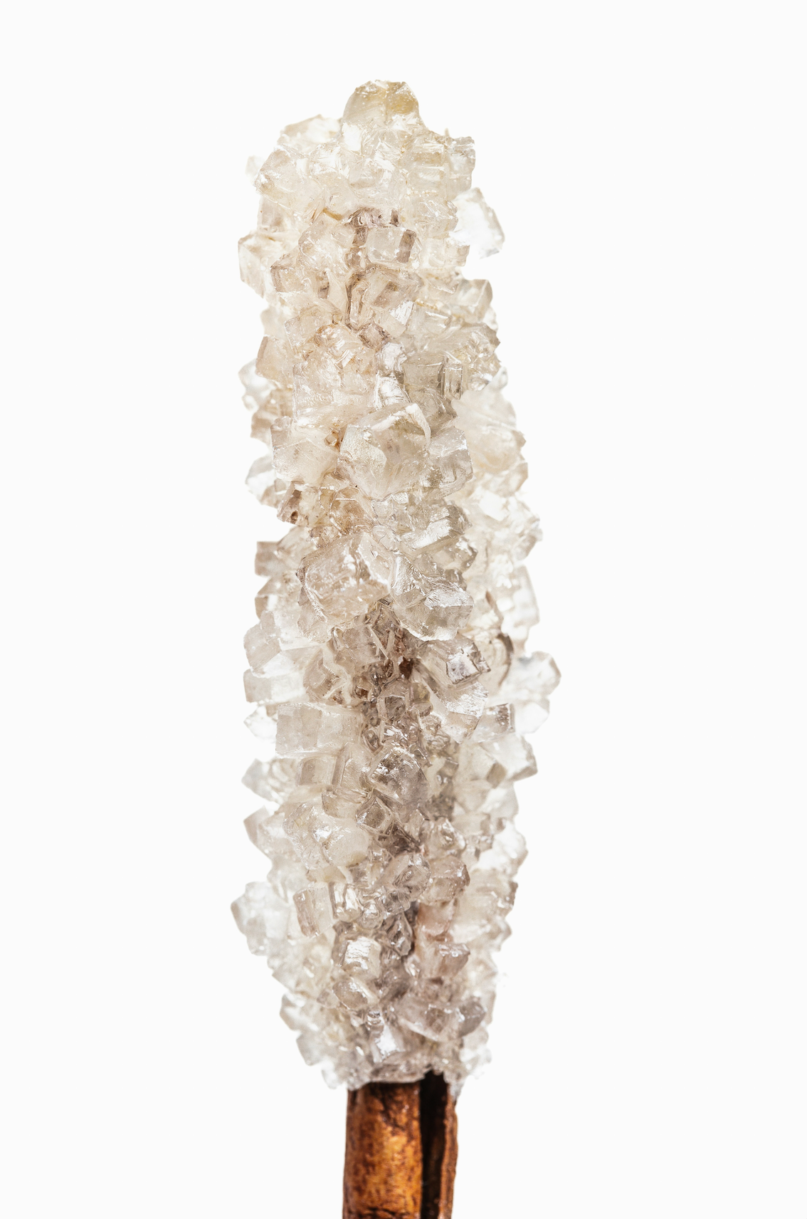 Captivating Vanilla Sugar 50ml Perfume Oil Dropper