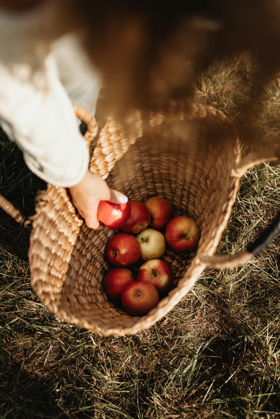 Luxurious Apple Picking 12 oz scented candle