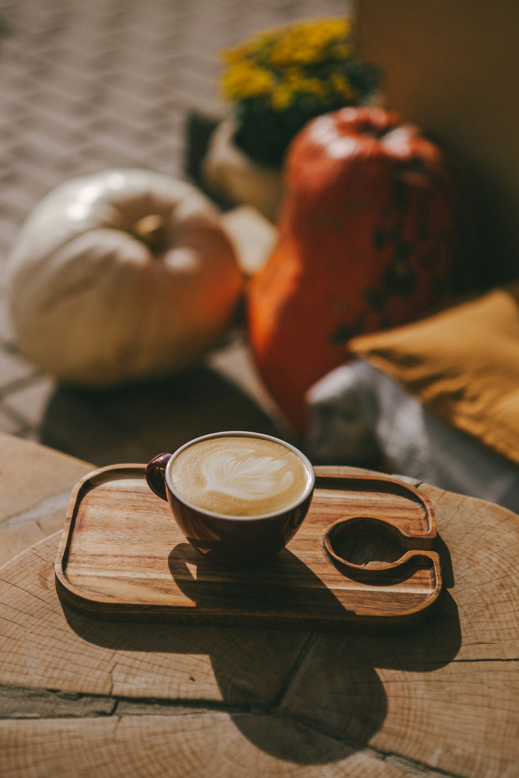 Luxurious Sand + Paws Pumpkin Soy Latte 12 oz scented candle