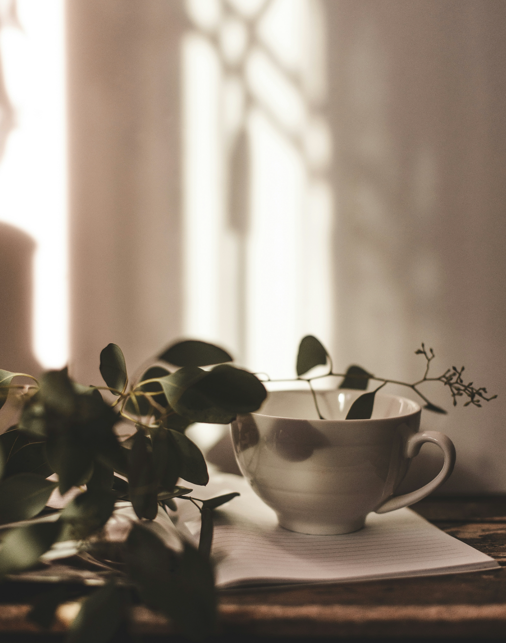 Luxurious Sand + Paws Eucalyptus Mint 12 oz scented candle