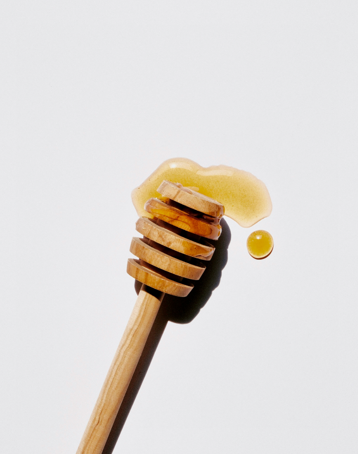Luxurious Sweet Honey 10 oz scented candle