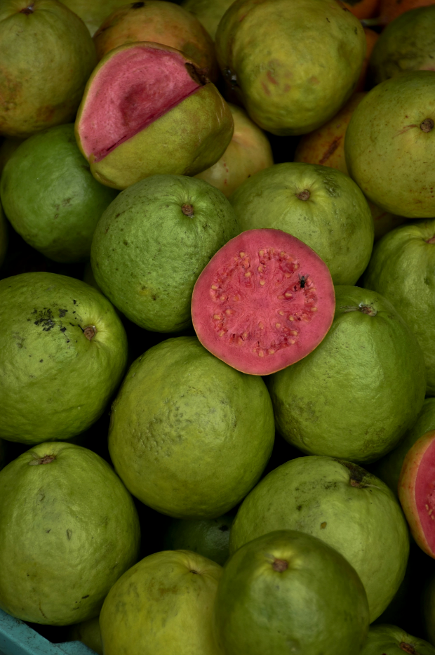 Luxurious Paradise Guava 12 oz scented candle