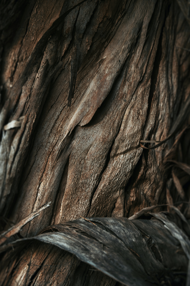 Invigorating Vanilla Sandalwood 110 ml Room Spray