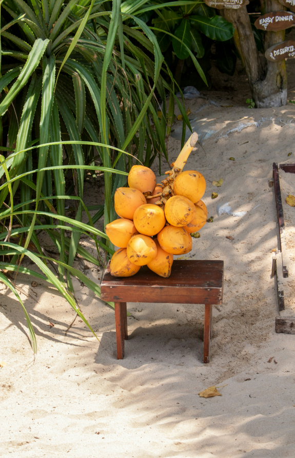 Captivating Coconut Blossom 50 ml Perfume Oil Dropper