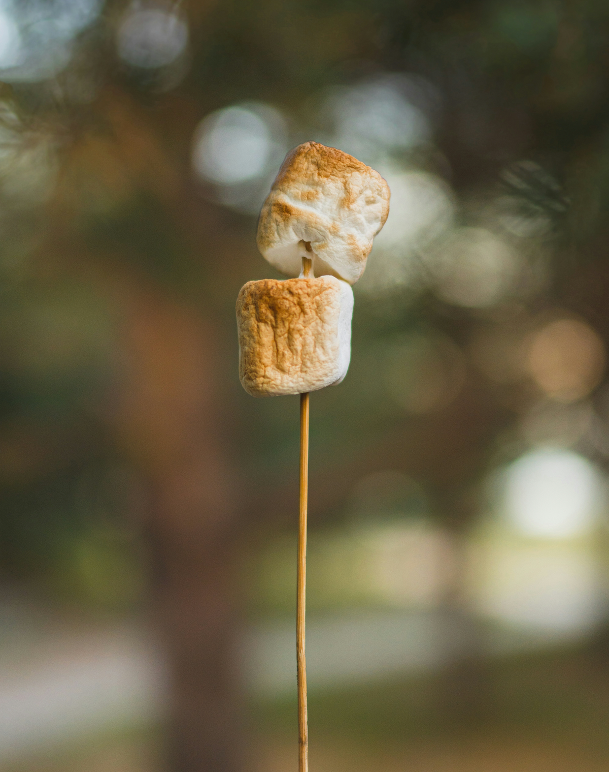 Captivating Toasted Marshmallow 50ml Perfume Oil Dropper