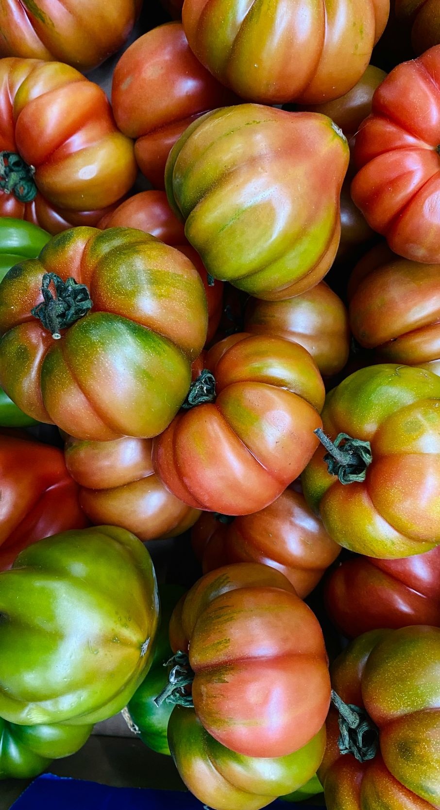Luxurious Sicilian Tomato 12 oz scented candle