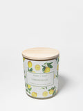 Luxurious Limoncello 10 oz scented candle