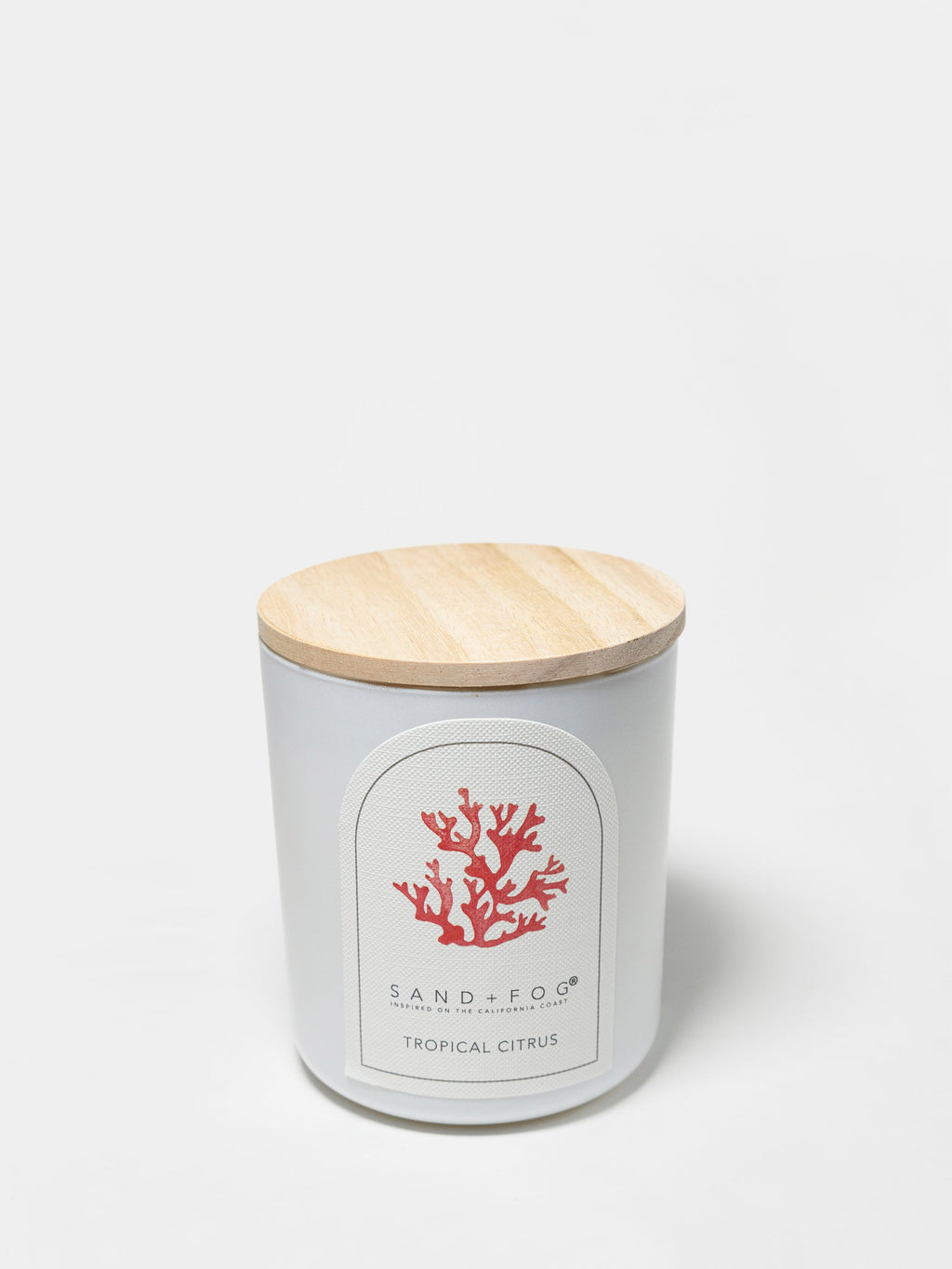 Luxurious Tropical Citrus 10 oz scented candle