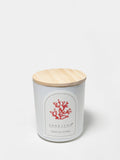 Luxurious Tropical Citrus 10 oz scented candle