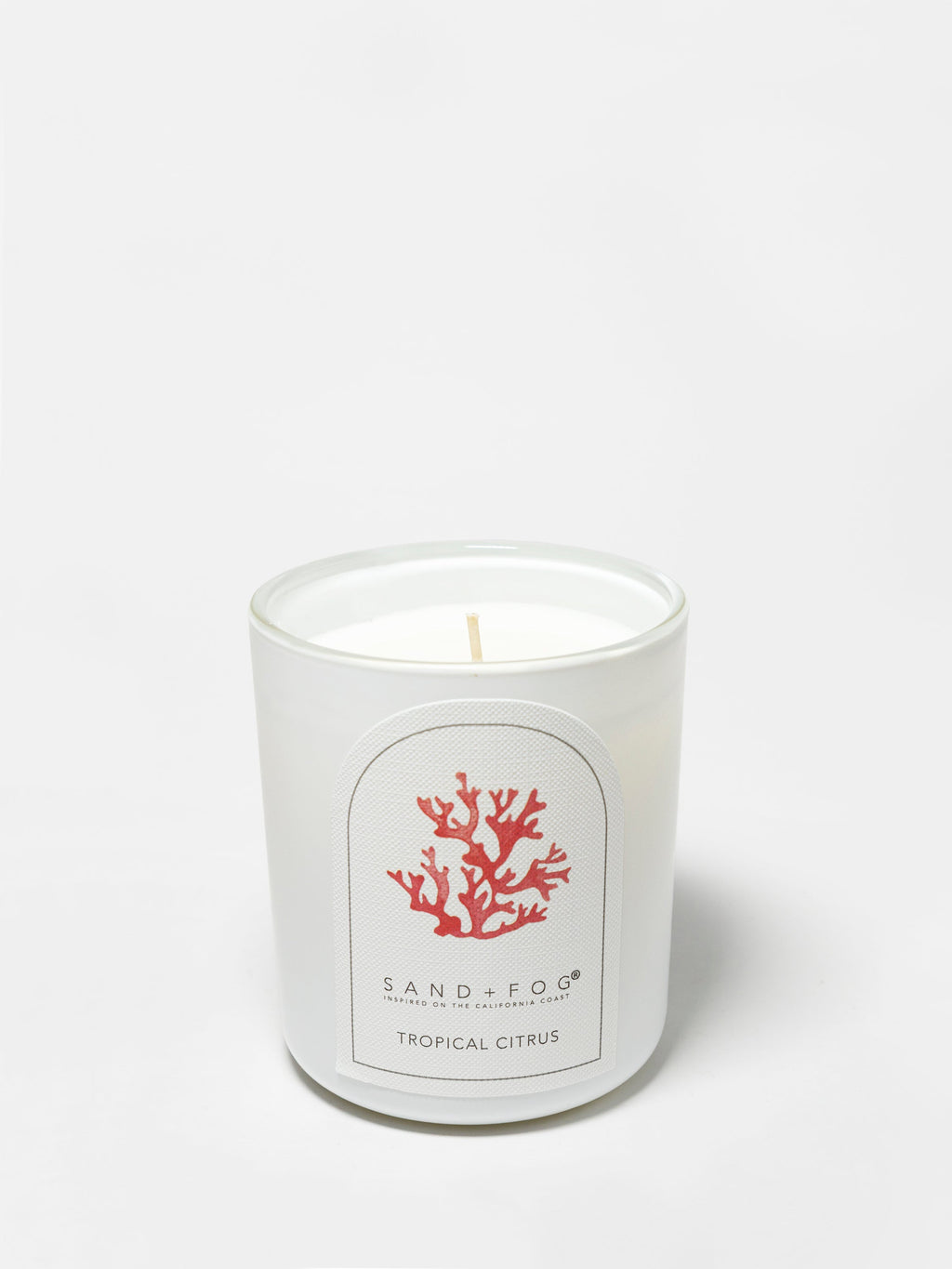 Luxurious Tropical Citrus 10 oz scented candle