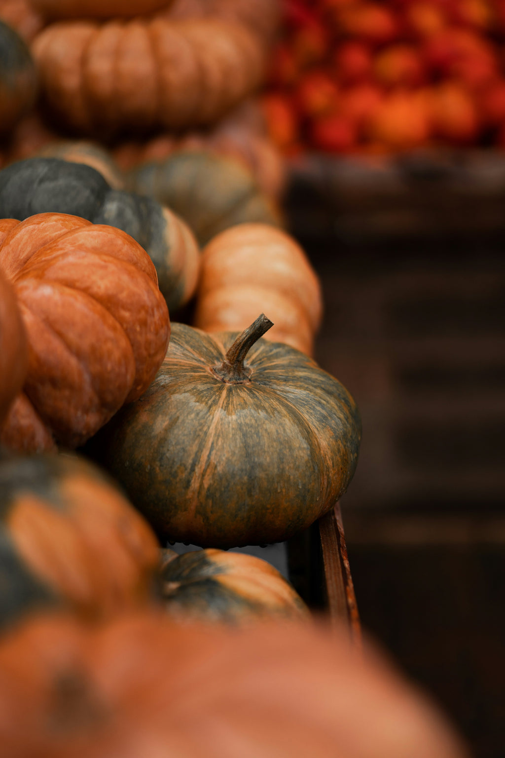 Luxurious Cinnamon Pumpkin 12 oz scented candle