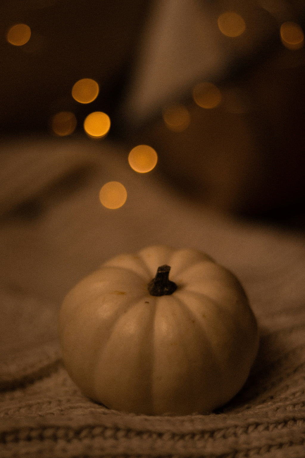 Luxurious Sand + Paws Pumpkin & Vanilla 12 oz scented candle
