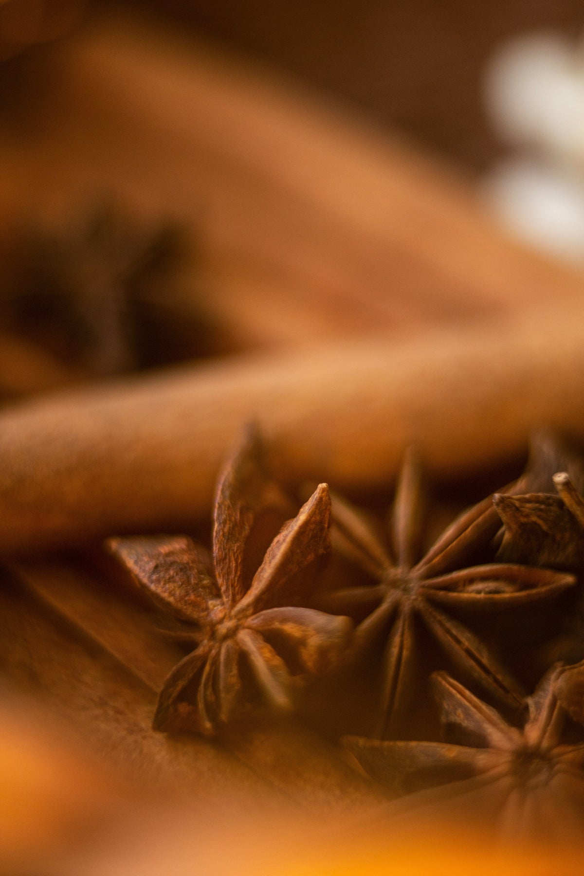 Captivating Cinnamon Reserve 50 ml Perfume Oil Dropper